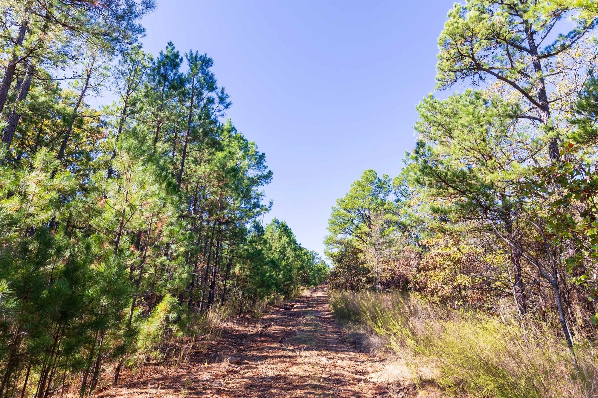 Stone Bridge Reserve Tract 23 in Haskell County, OK