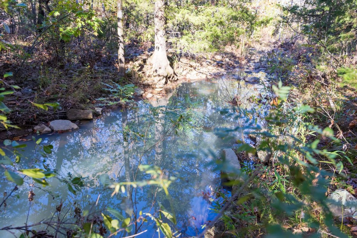 Decorative background for Stone Bridge Reserve Tract 23 image 6