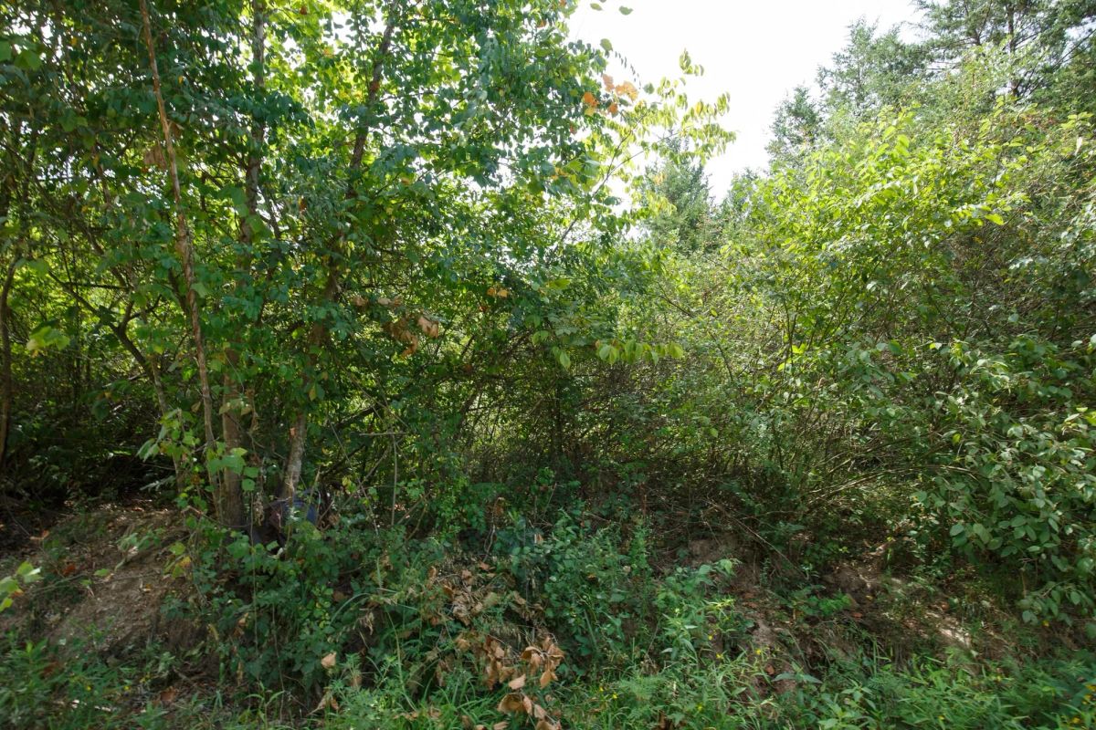 Spring Lake Plat 6 Tract 63 - Image 2