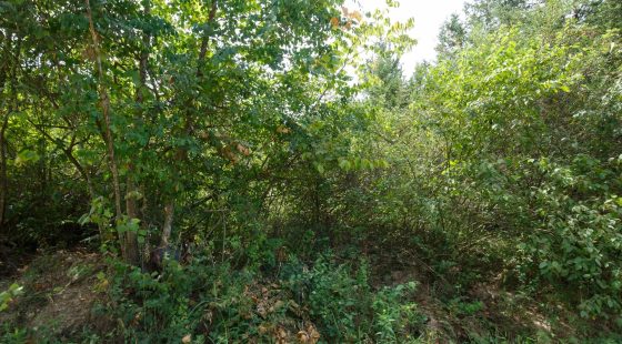 Spring Lake Plat 6 Tract 63 in Miller County, MO