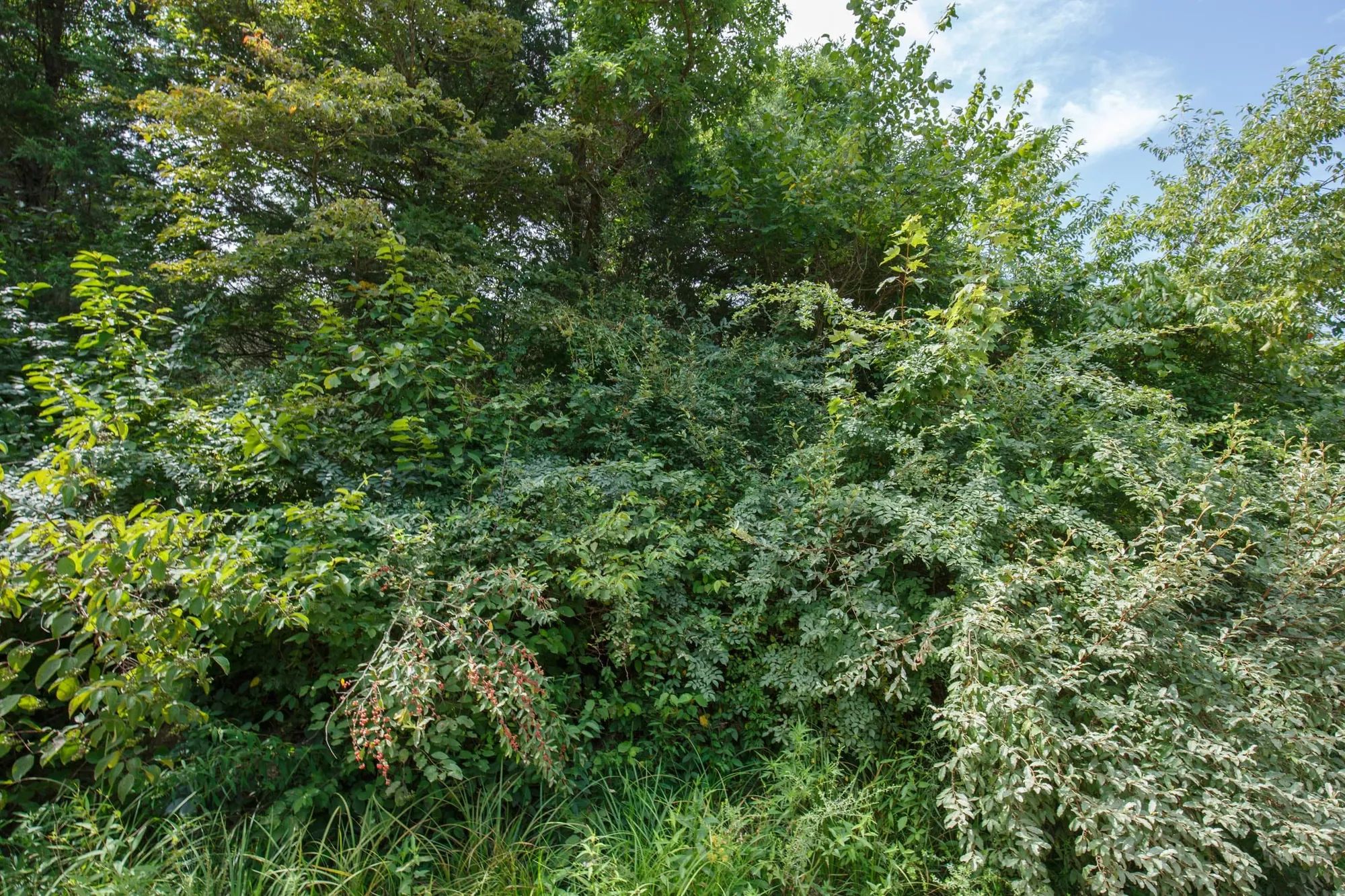 Spring Lake Plat 6 Tract 63 in Miller County, MO