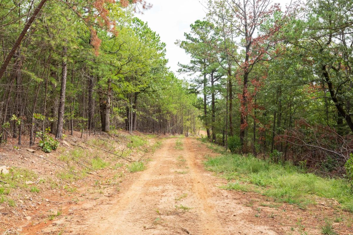 Stone Bridge Phase V Tract 362 - Main image