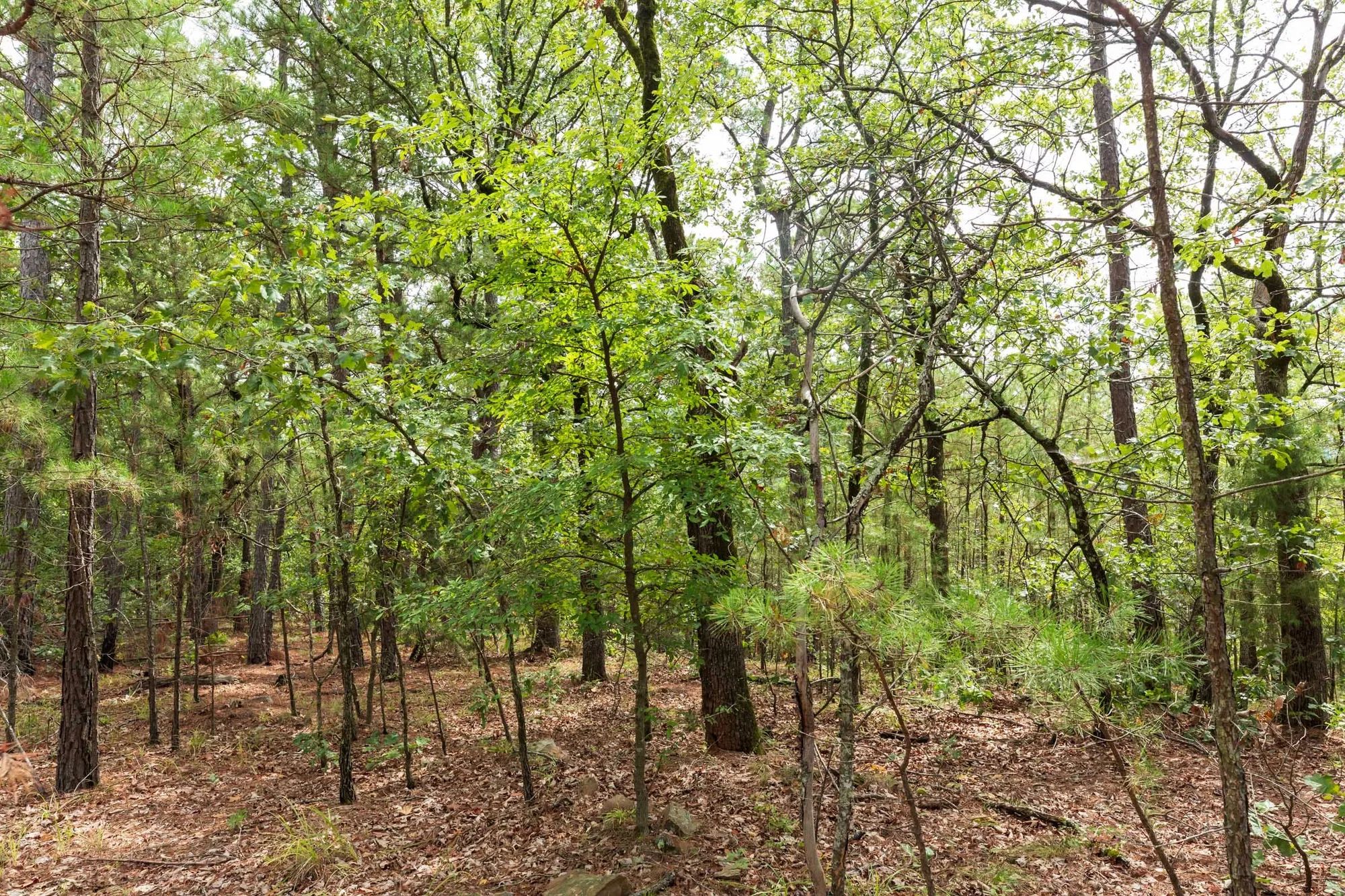 Stone Bridge Phase V Tract 362 in Latimer County, OK