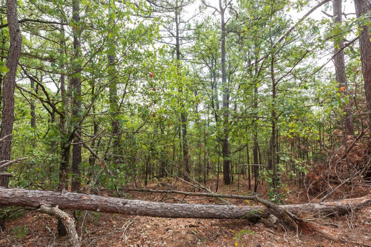 Stone Bridge Phase V Tract 362 - Image 4