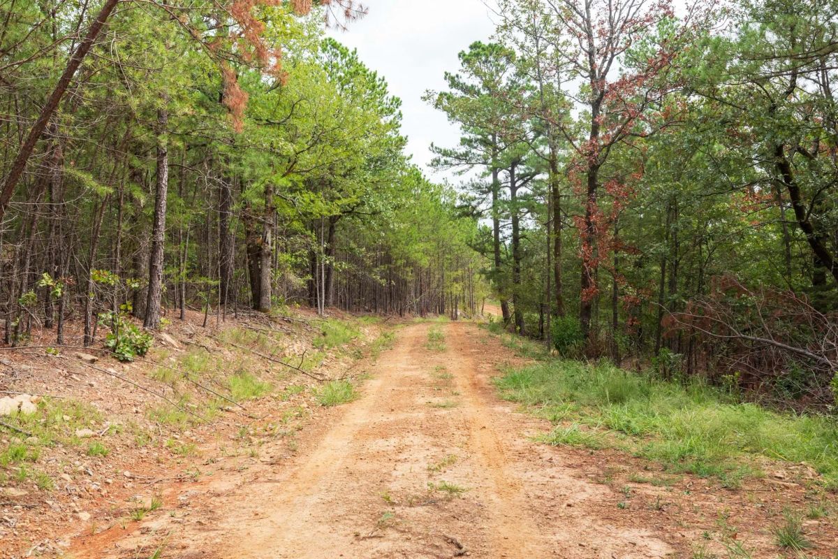 Decorative background for Stone Bridge Phase V Tract 362 image 9