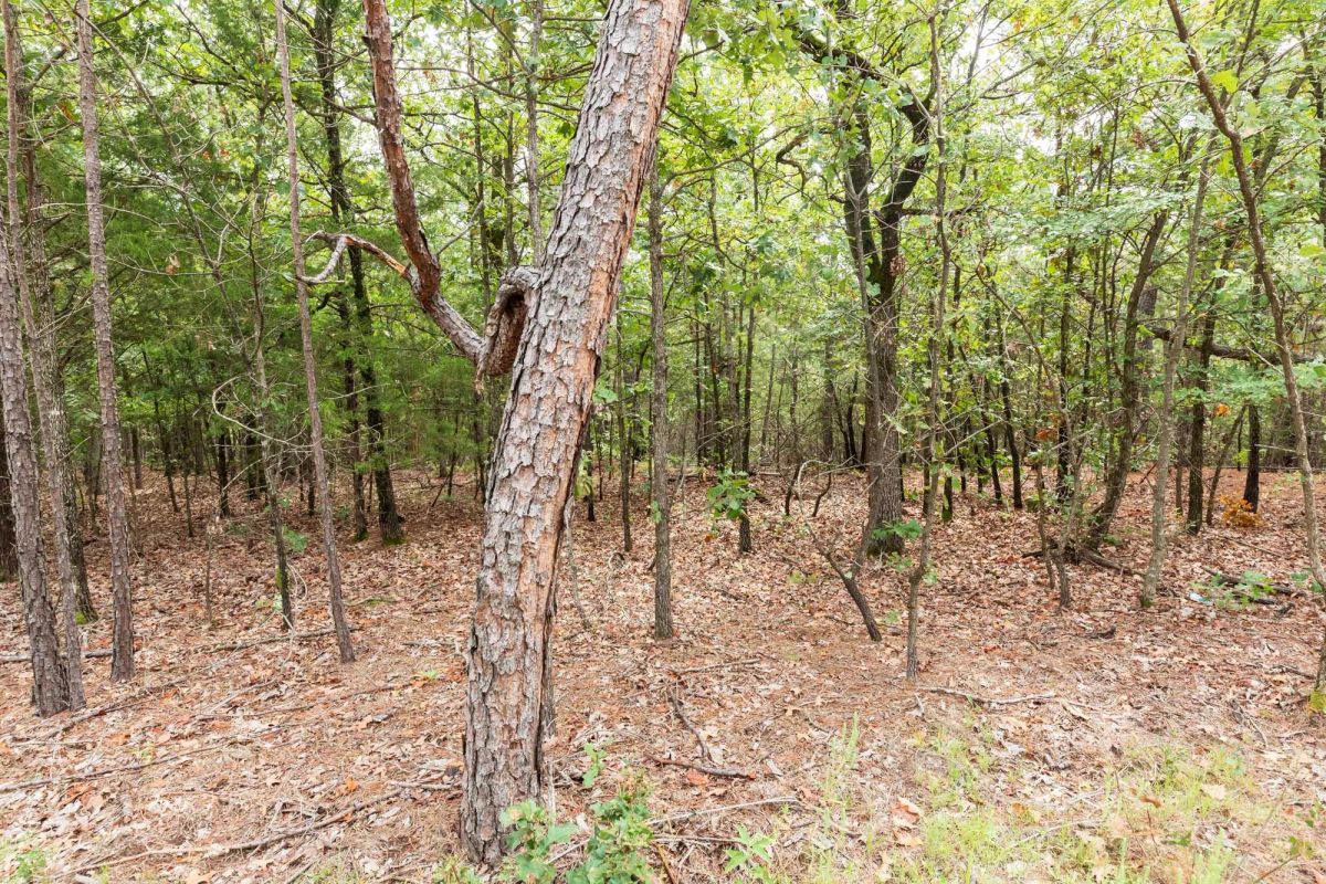 Decorative background for Stone Bridge Phase V Tract 362 image 12