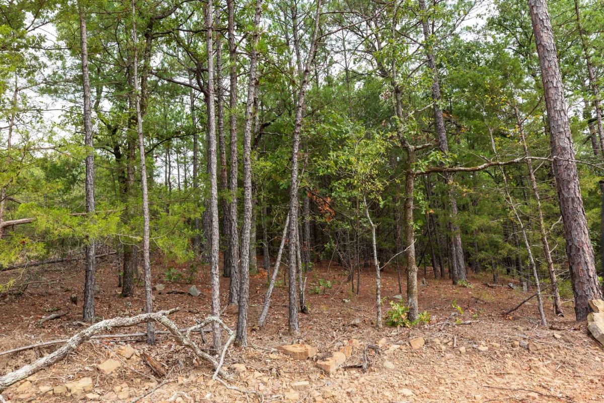 Decorative background for Stone Bridge Phase V Tract 362 image 15