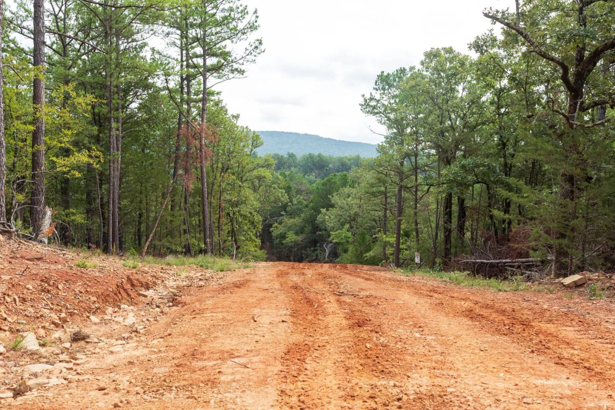 Decorative background for Stone Bridge Phase V Tract 362 image 21