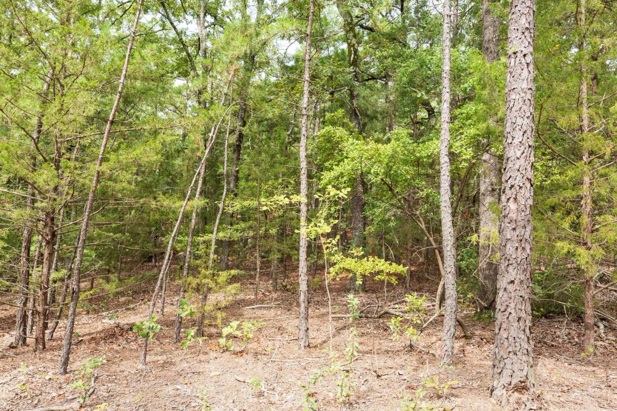 Decorative background for Stone Bridge Phase V Tract 362 image 24