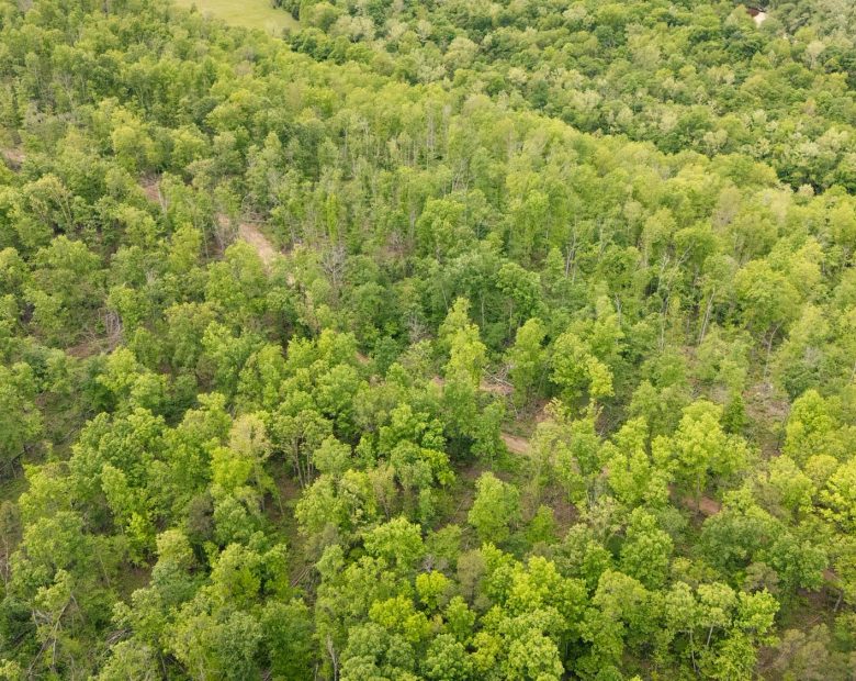 Stardust Estates Tract 30 in Reynolds County, MO