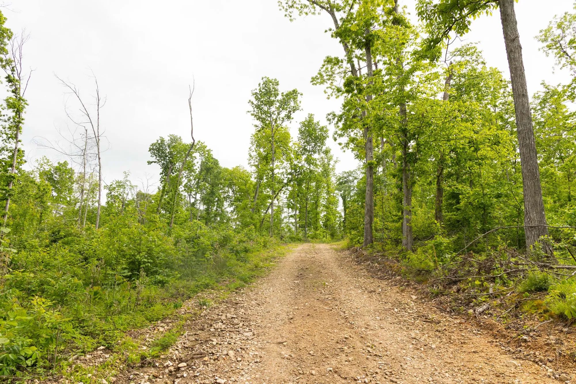 Stardust Estates Tract 30 in Reynolds County, MO