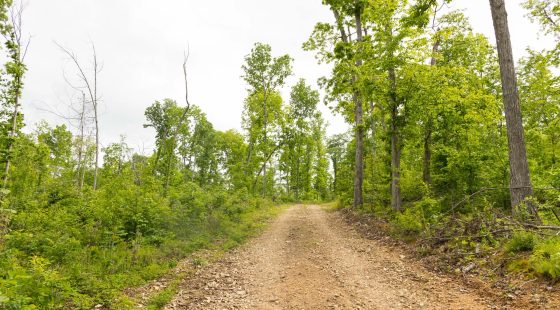 Stardust Estates Tract 30 in Reynolds County, MO