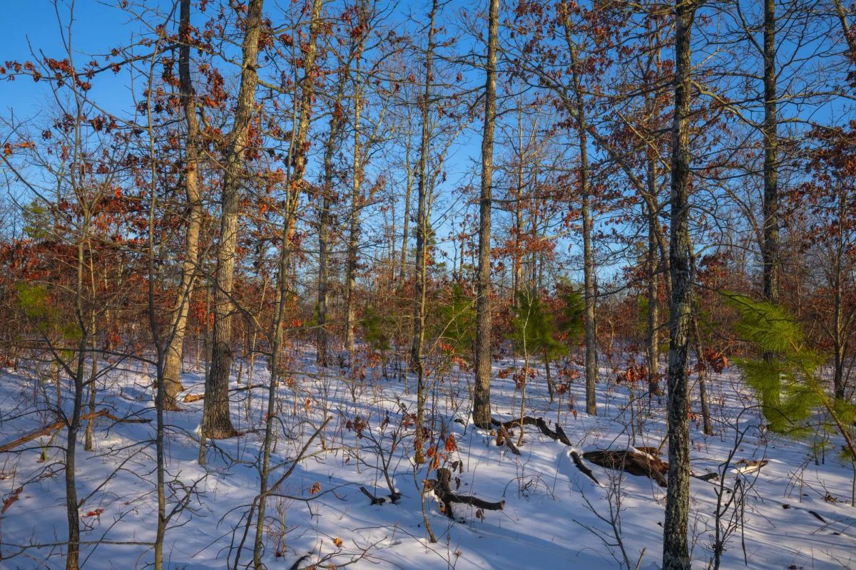 Sleepy Hollow Phase I Tract 41 - Image 3