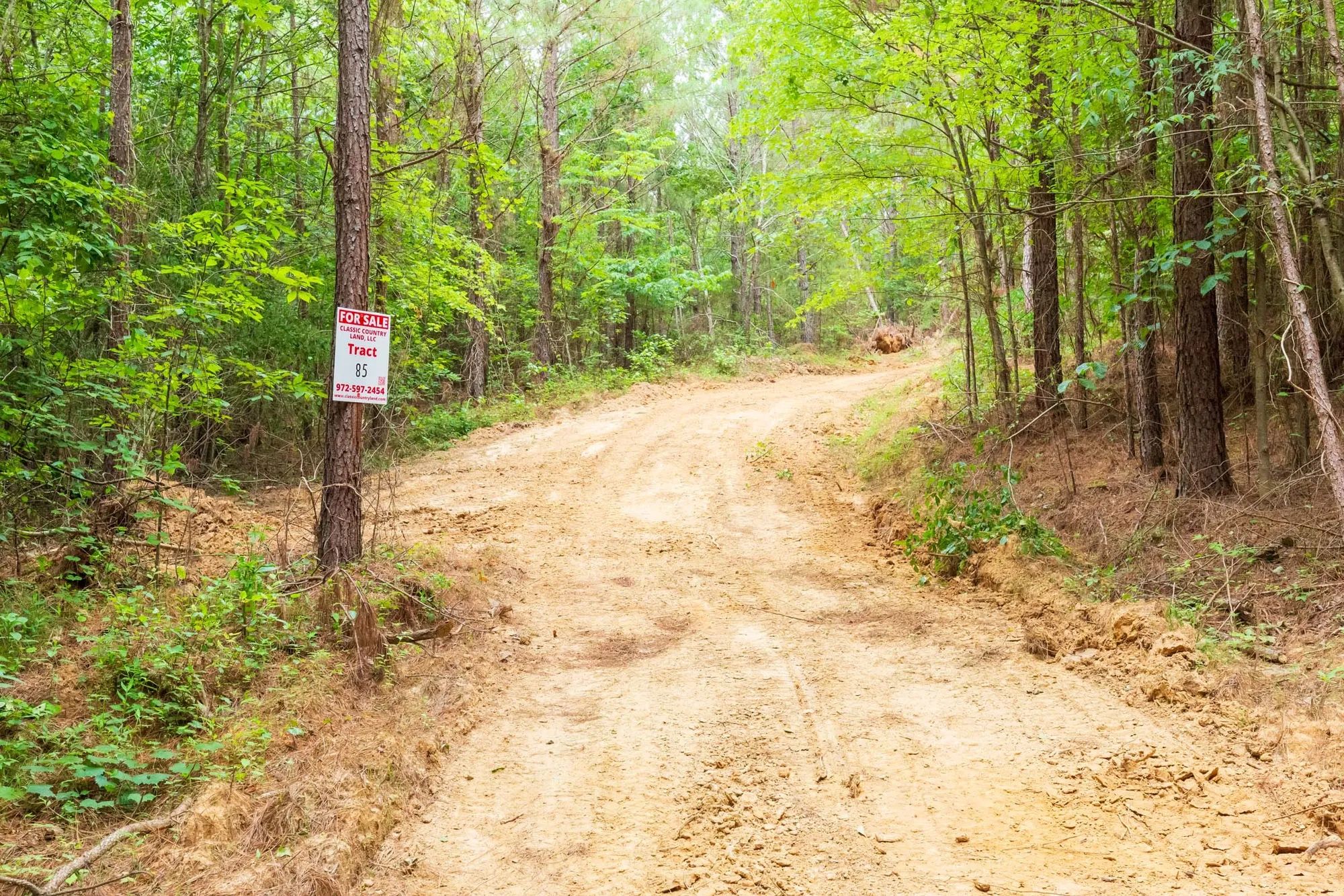 Whiskey Ridge Tract 85 in Henderson County, TN
