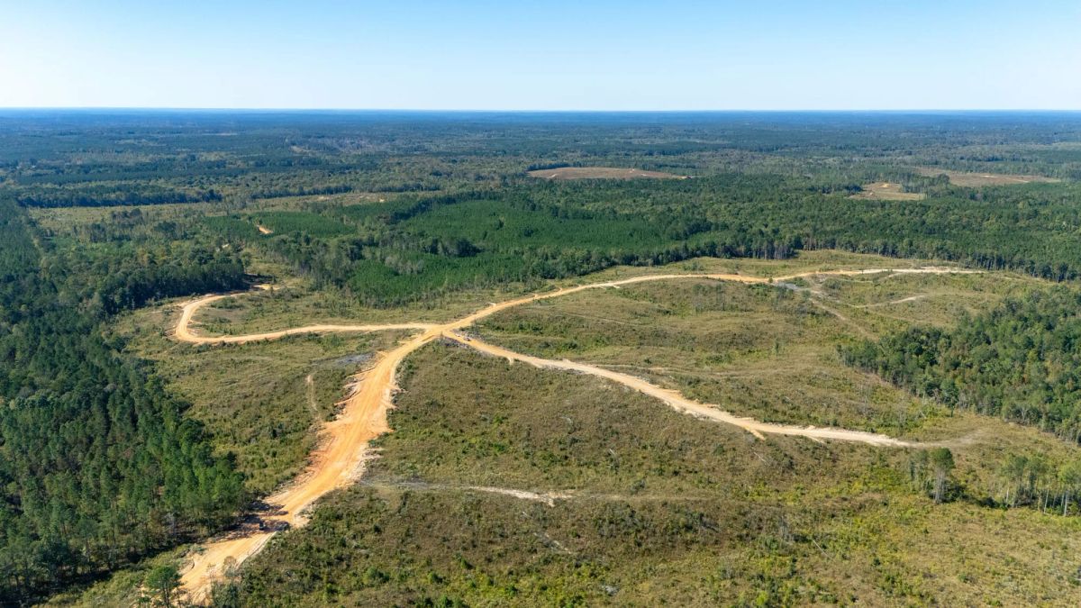 Decorative background for Meyer’s Ridge Tract 18 image 5