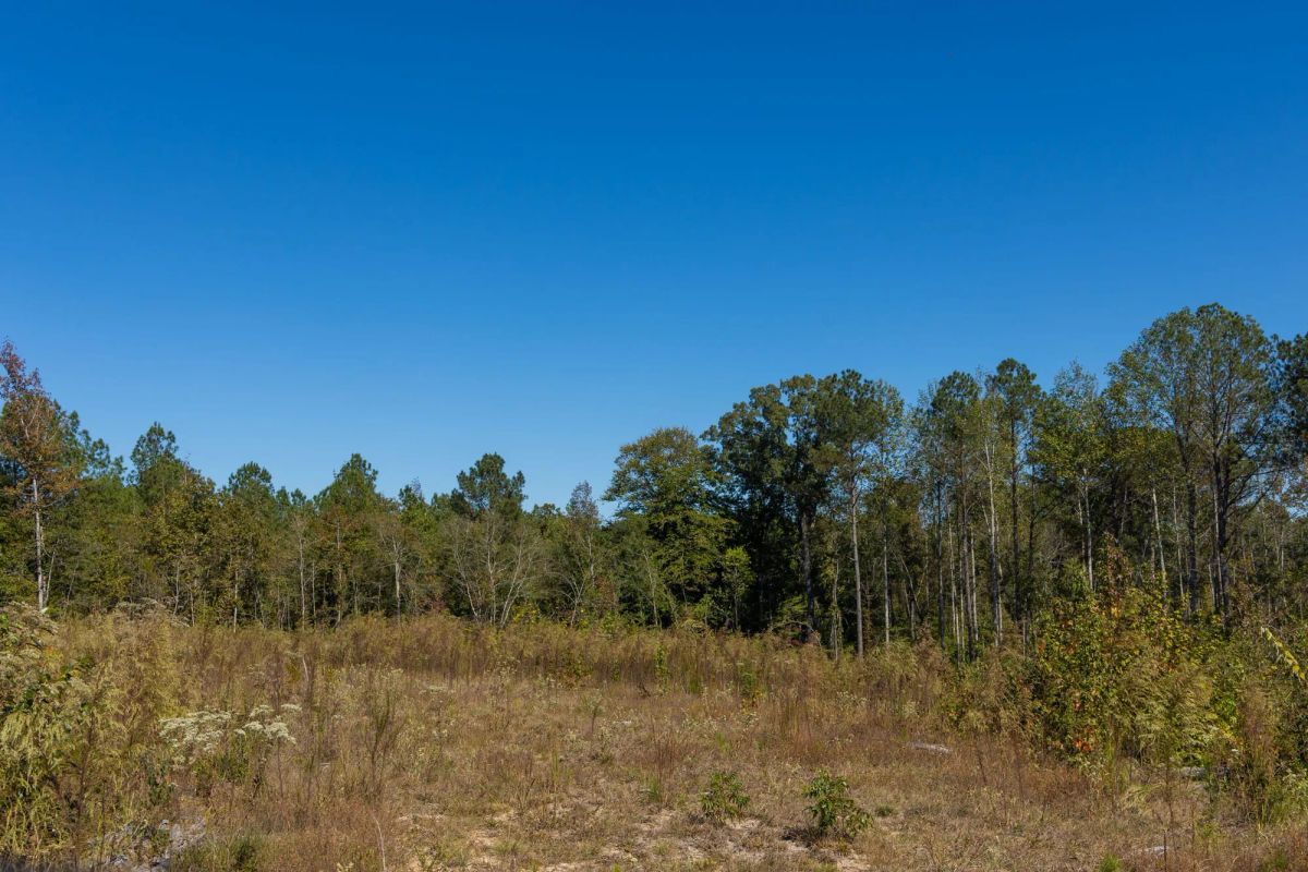 Decorative background for Meyer’s Ridge Tract 18 image 10