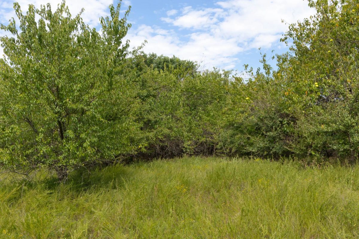 Reserves At Cattail Cove Phase II Tract 49 - Image 4