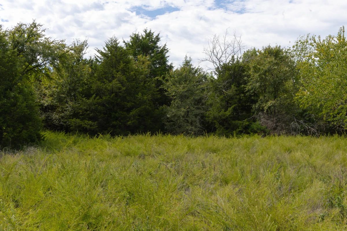 Decorative background for Reserves At Cattail Cove Phase II Tract 49 image 5