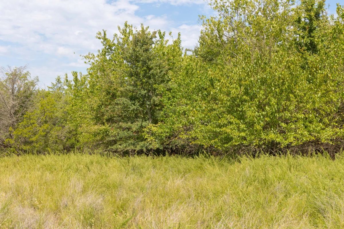 Decorative background for Reserves At Cattail Cove Phase II Tract 49 image 7