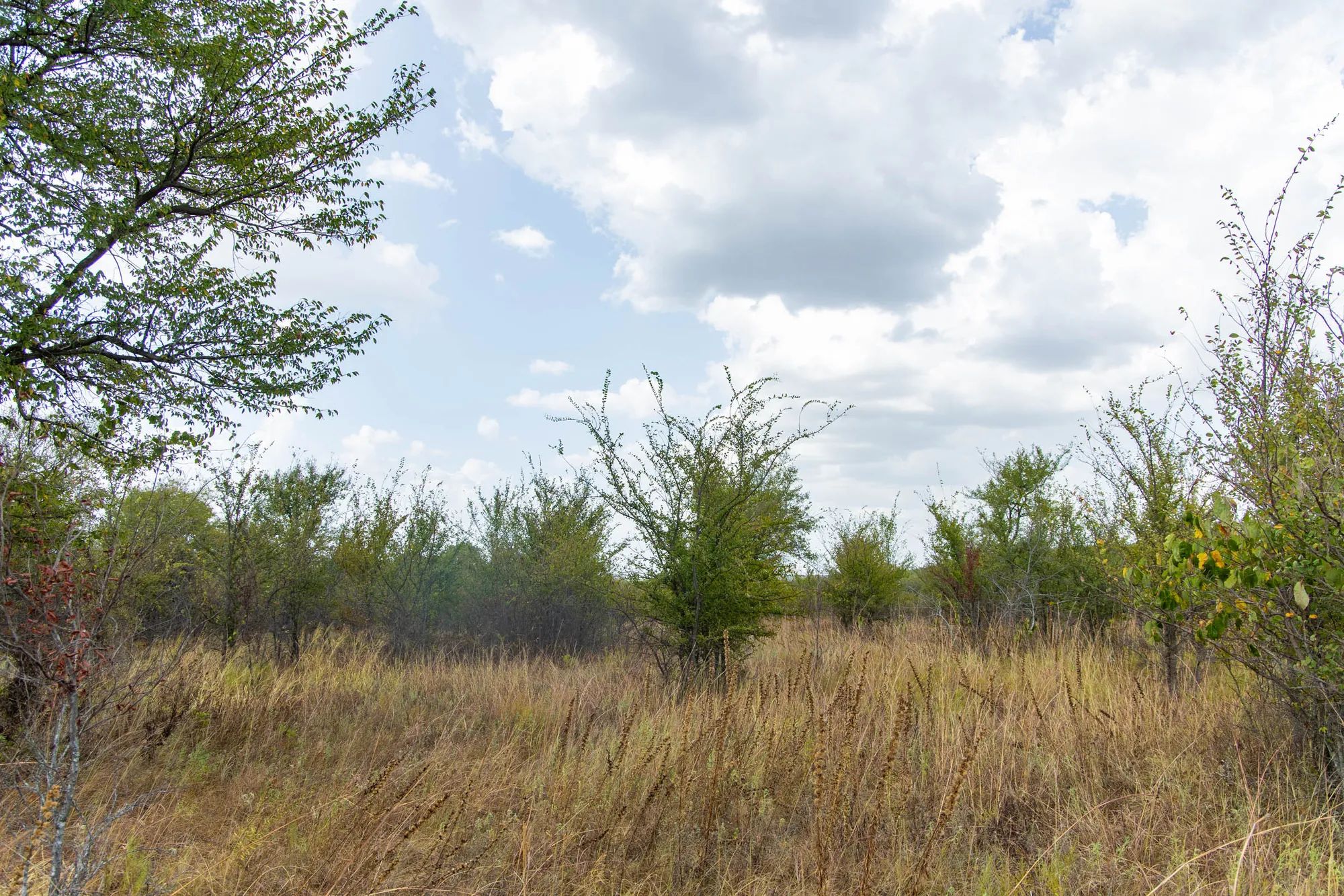 Gracyn Meadows Tract 14 in Okfuskee County, OK