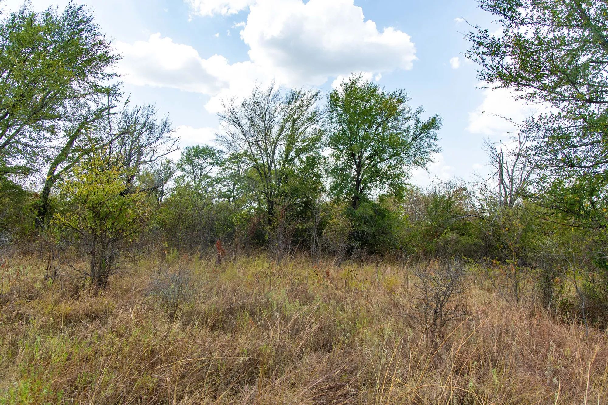 Gracyn Meadows Tract 14 in Okfuskee County, OK