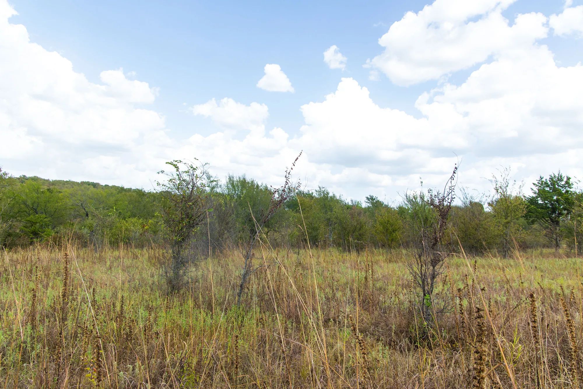 Gracyn Meadows Tract 14 in Okfuskee County, OK