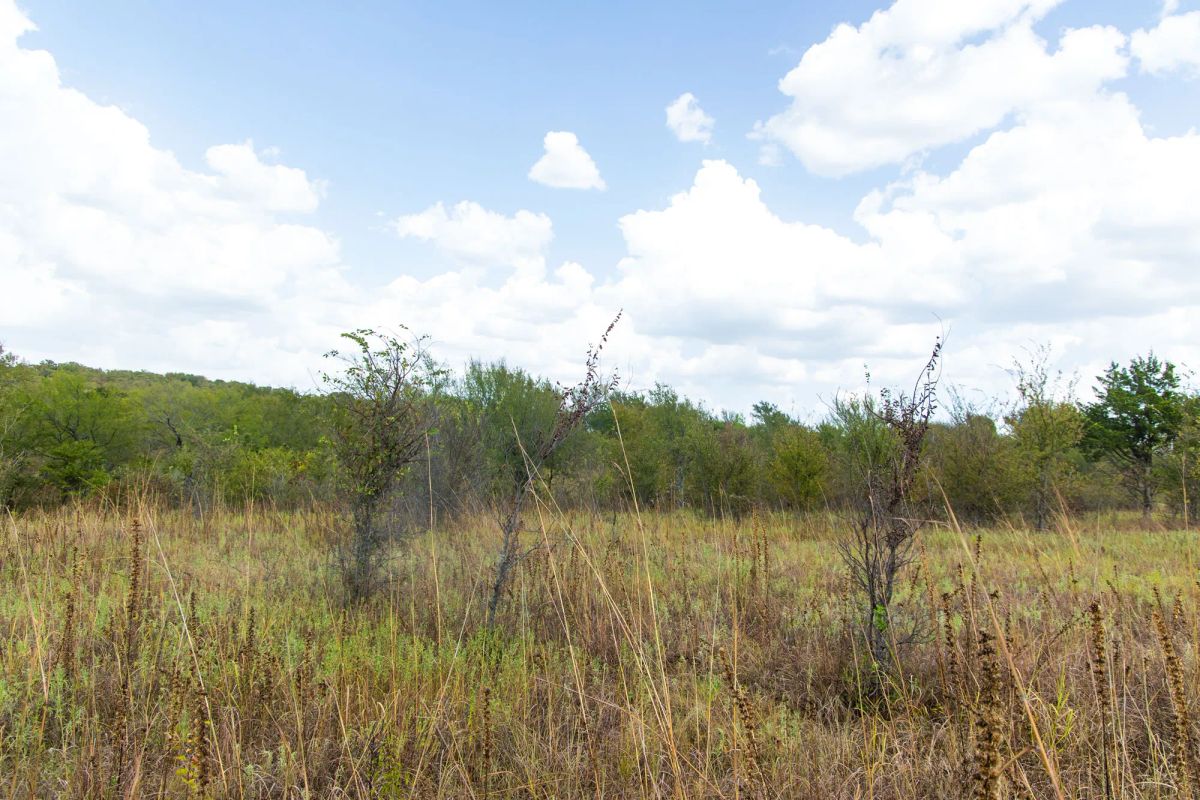 Gracyn Meadows Tract 14 - Image 4
