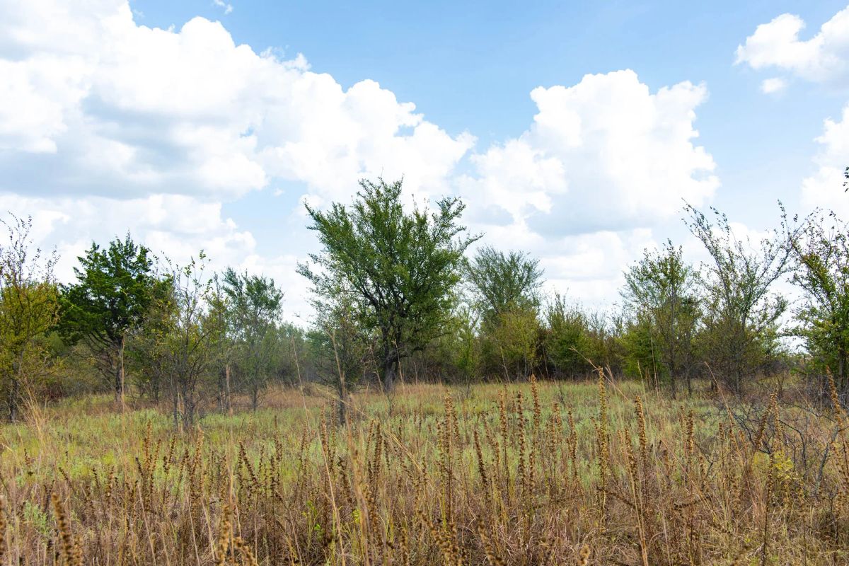 Decorative background for Gracyn Meadows Tract 14 image 5