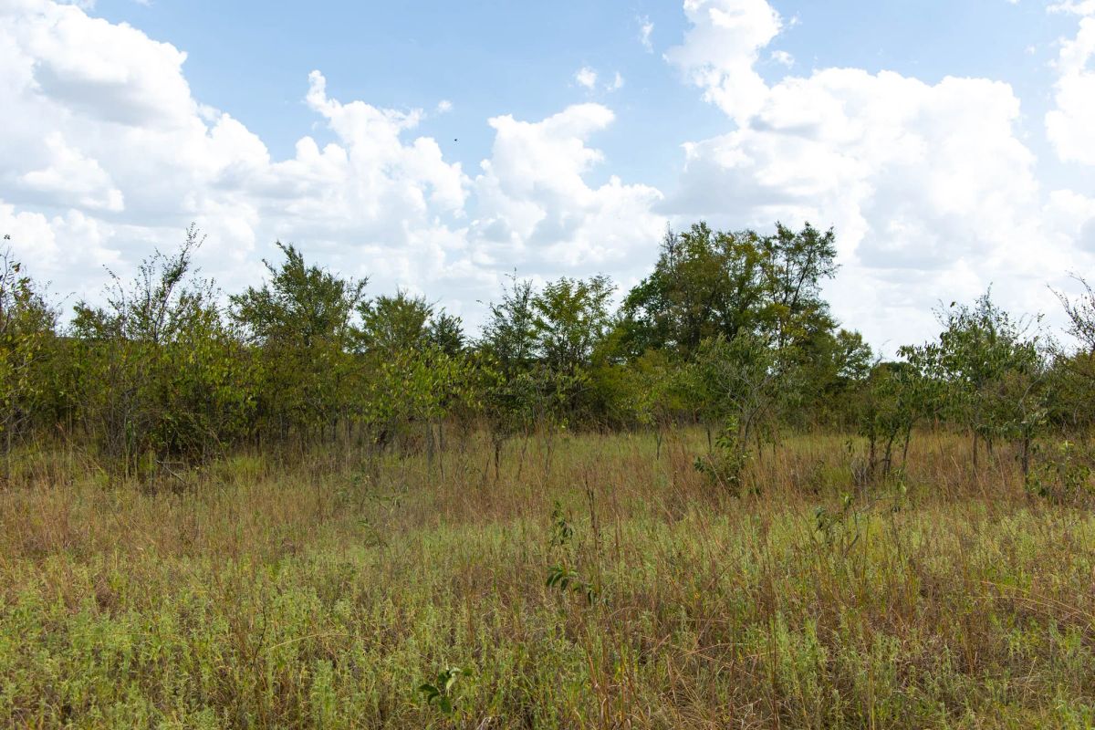 Decorative background for Gracyn Meadows Tract 14 image 8