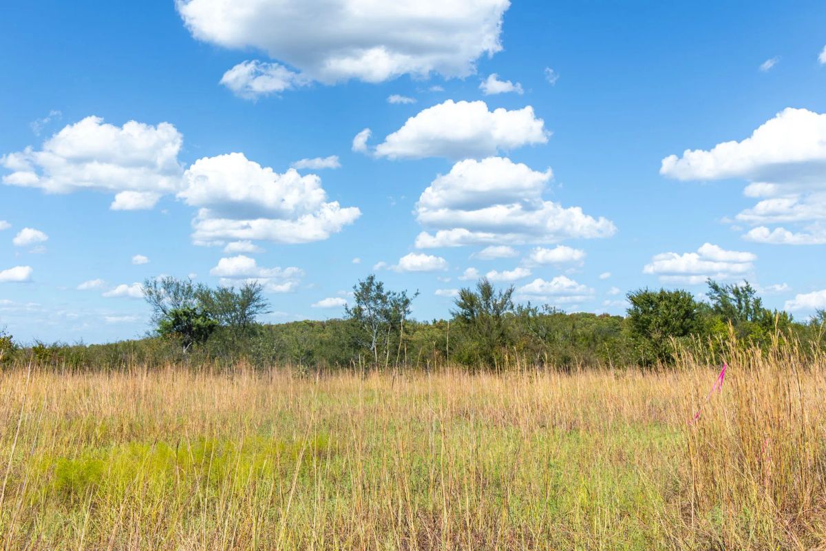 Decorative background for Gracyn Meadows Tract 14 image 9