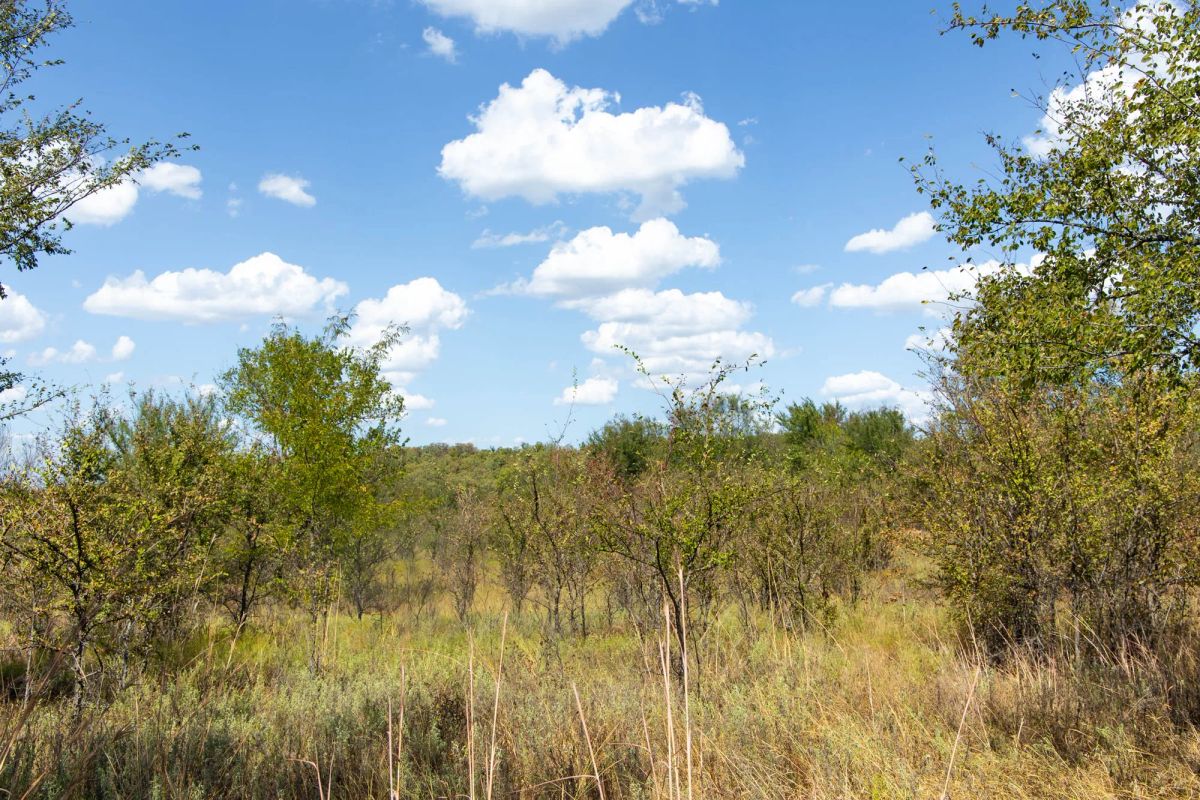 Decorative background for Gracyn Meadows Tract 14 image 13
