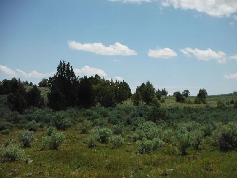 Moon Valley Ranch Tract 154 in Lassen County, CA
