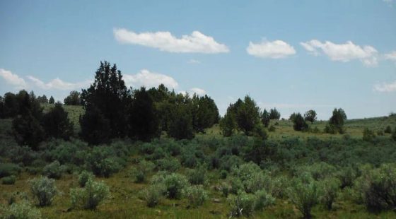 Moon Valley Ranch Tract 154 in Lassen County, CA
