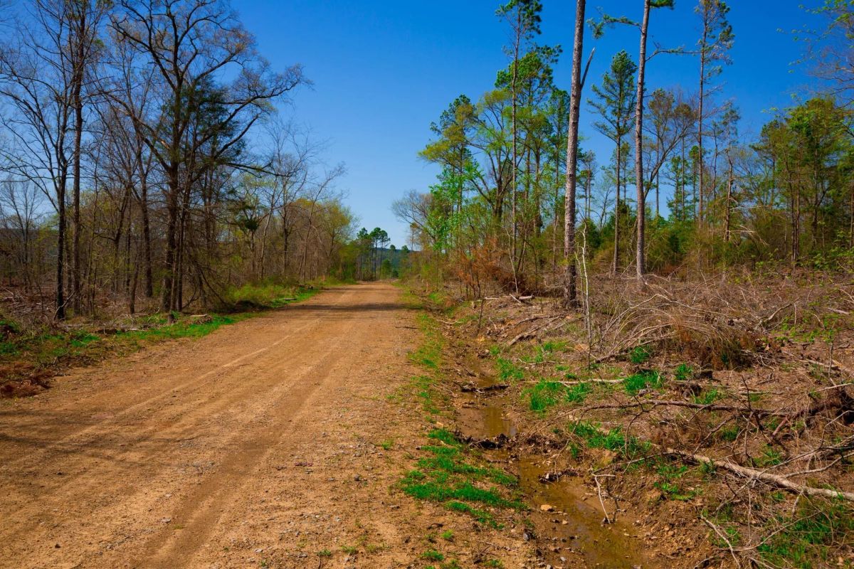 Stone Creek Phase II Tract 251 - Image 2