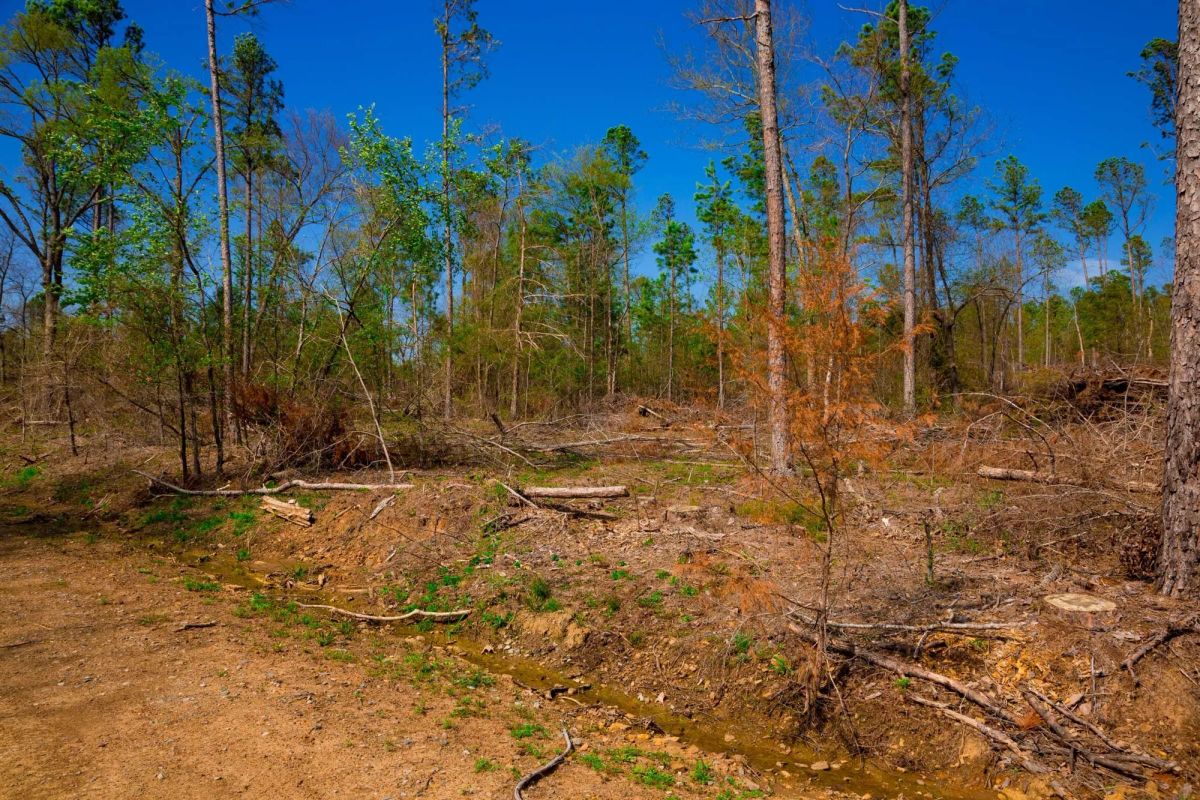Decorative background for Stone Creek Phase II Tract 251 image 6