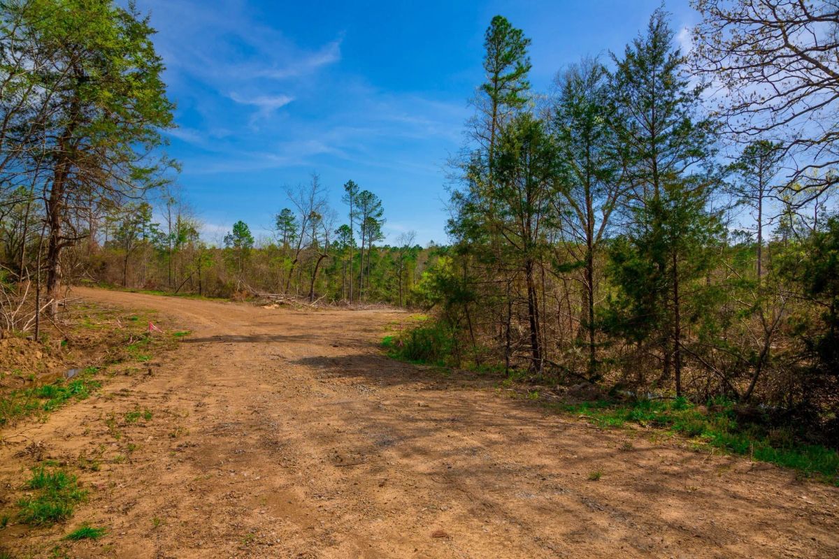 Decorative background for Stone Creek Phase II Tract 251 image 7