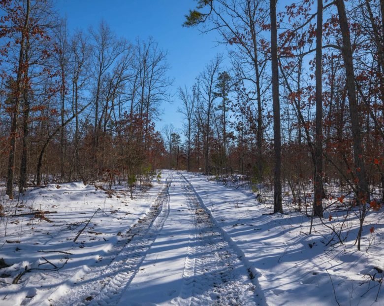 Sleepy Hollow Phase I Tract 43 in Texas County, MO