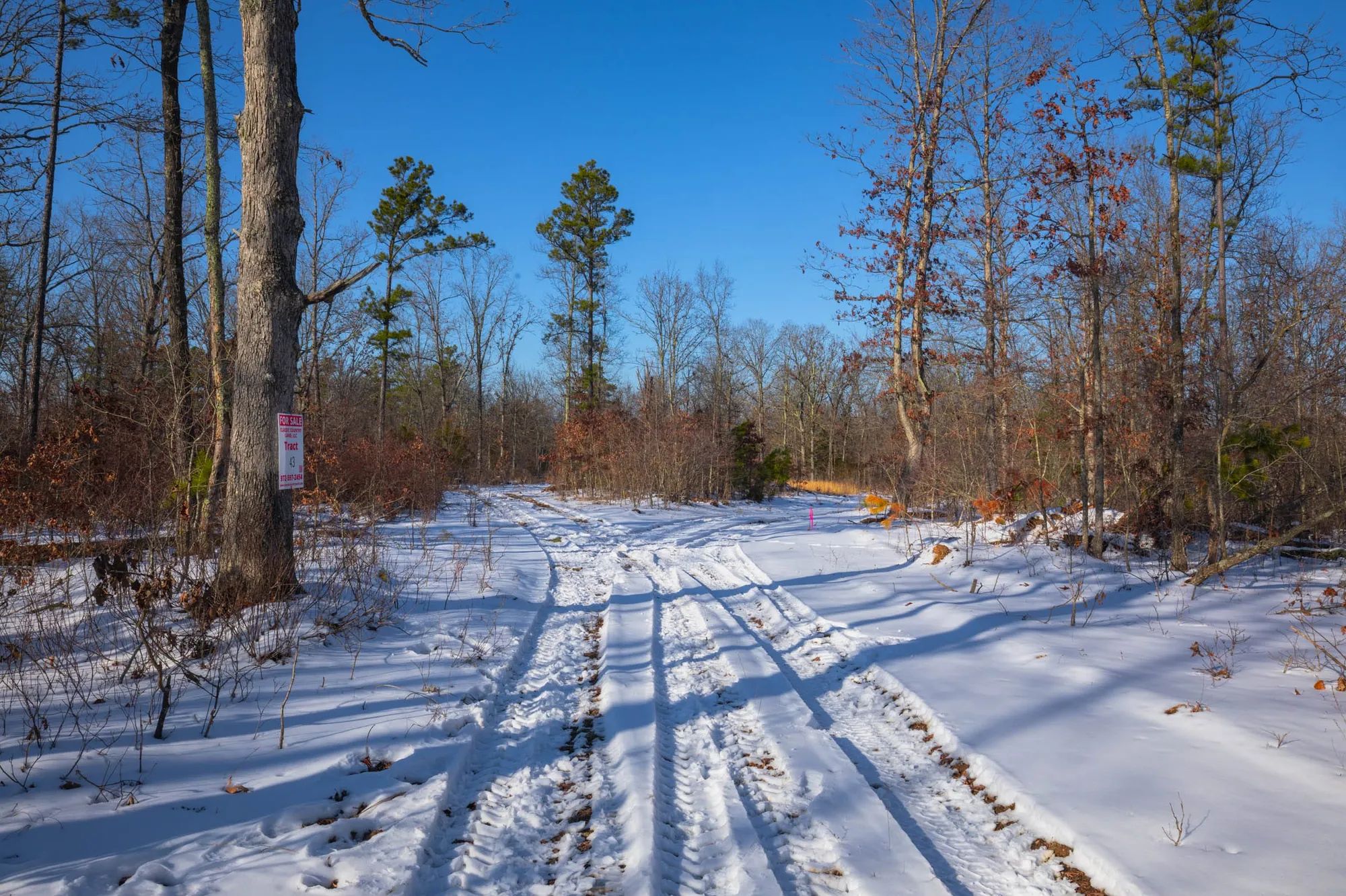 Sleepy Hollow Phase I Tract 43 in Texas County, MO