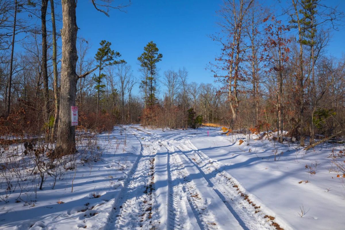 Sleepy Hollow Phase I Tract 43 - Image 2