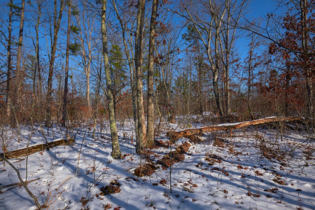 Sleepy Hollow Phase I Tract 43 - Image 3