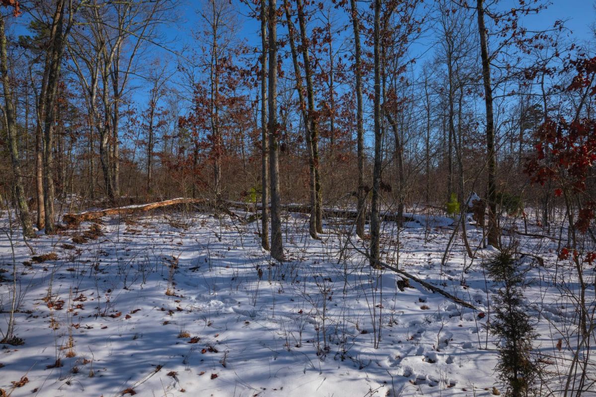 Decorative background for Sleepy Hollow Phase I Tract 43 image 9