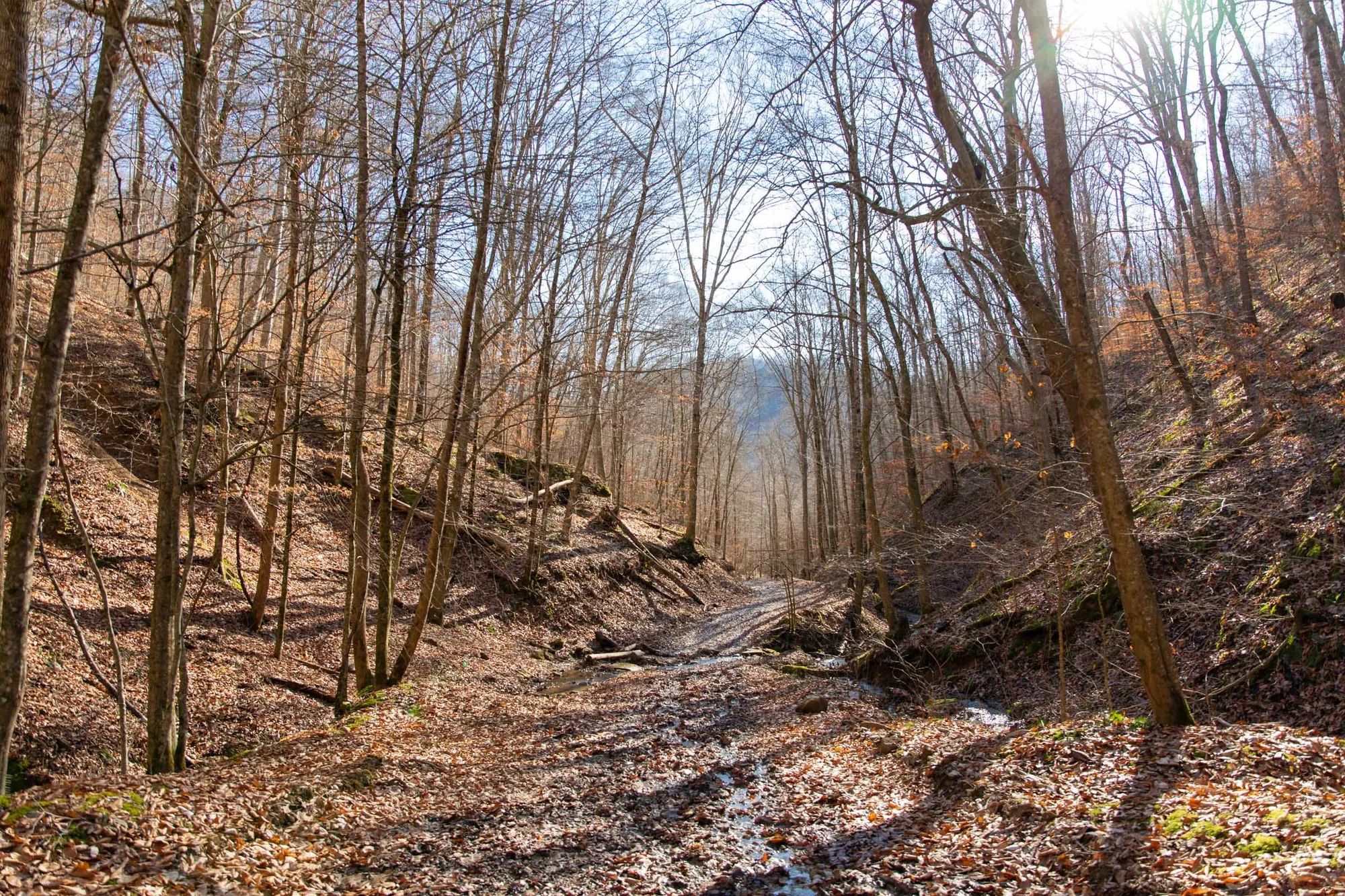 Blackstone Mountain Phase I Tract 11 in Clay County, KY