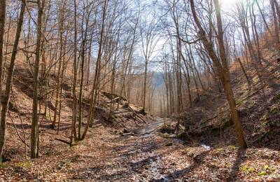 Blackstone Mountain Phase I Tract 11