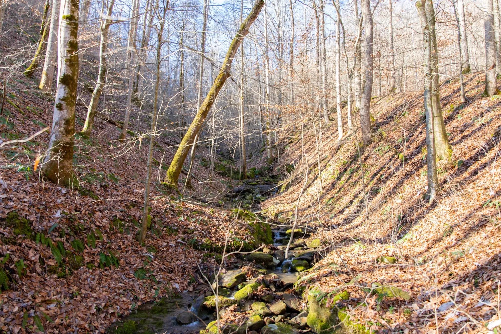 Blackstone Mountain Phase I Tract 11 in Clay County, KY