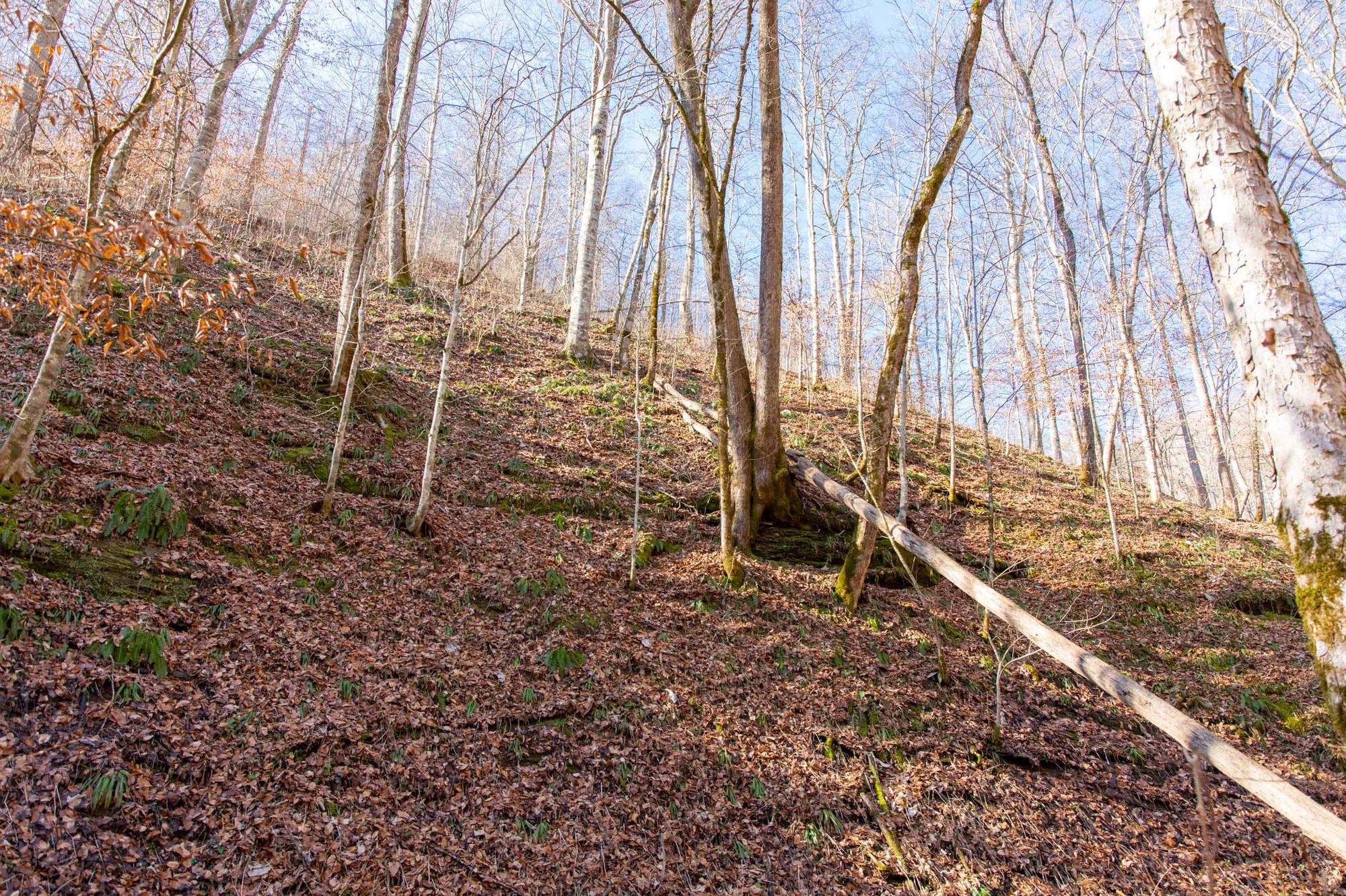 Blackstone Mountain Phase I Tract 11 in Clay County, KY