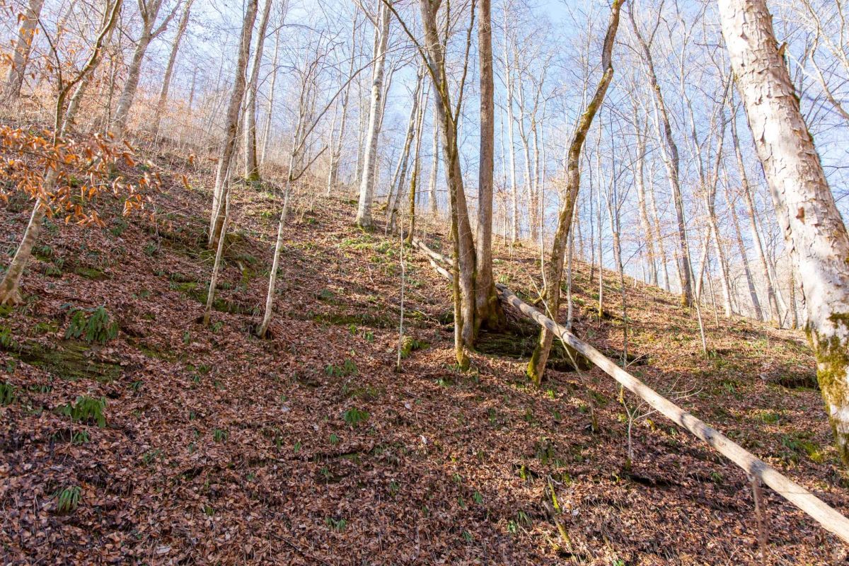 Blackstone Mountain Phase I Tract 11 - Image 4