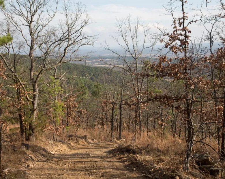 Stone Creek Phase III Tract 92 in Latimer County, OK