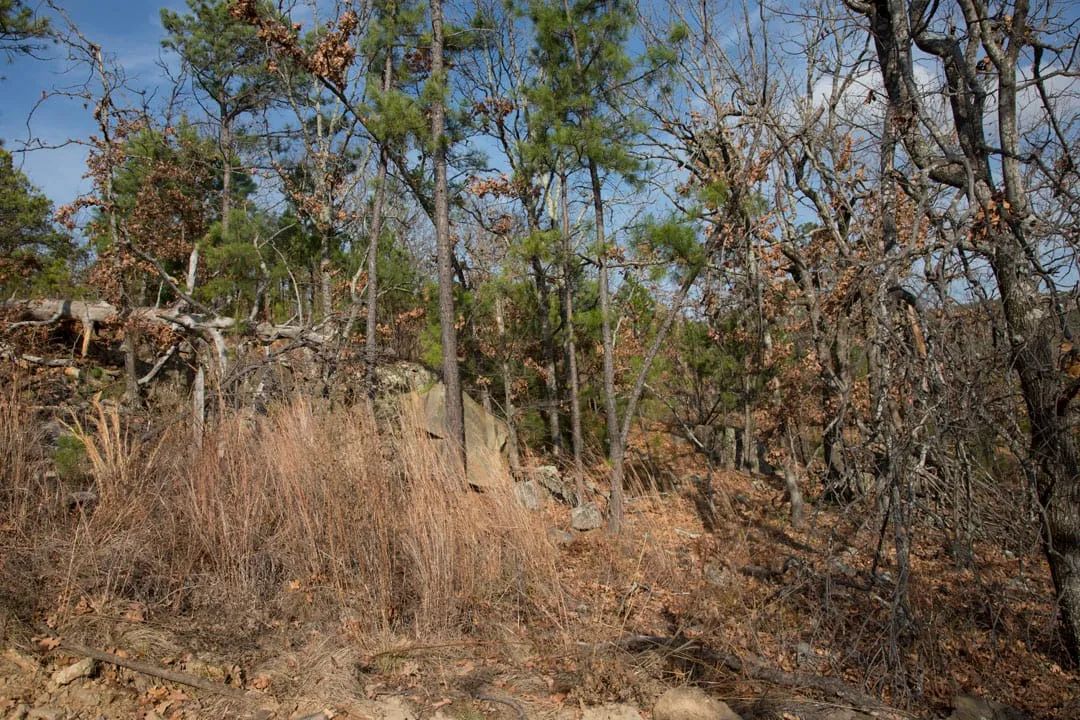 Stone Creek Phase III Tract 92 - Image 3