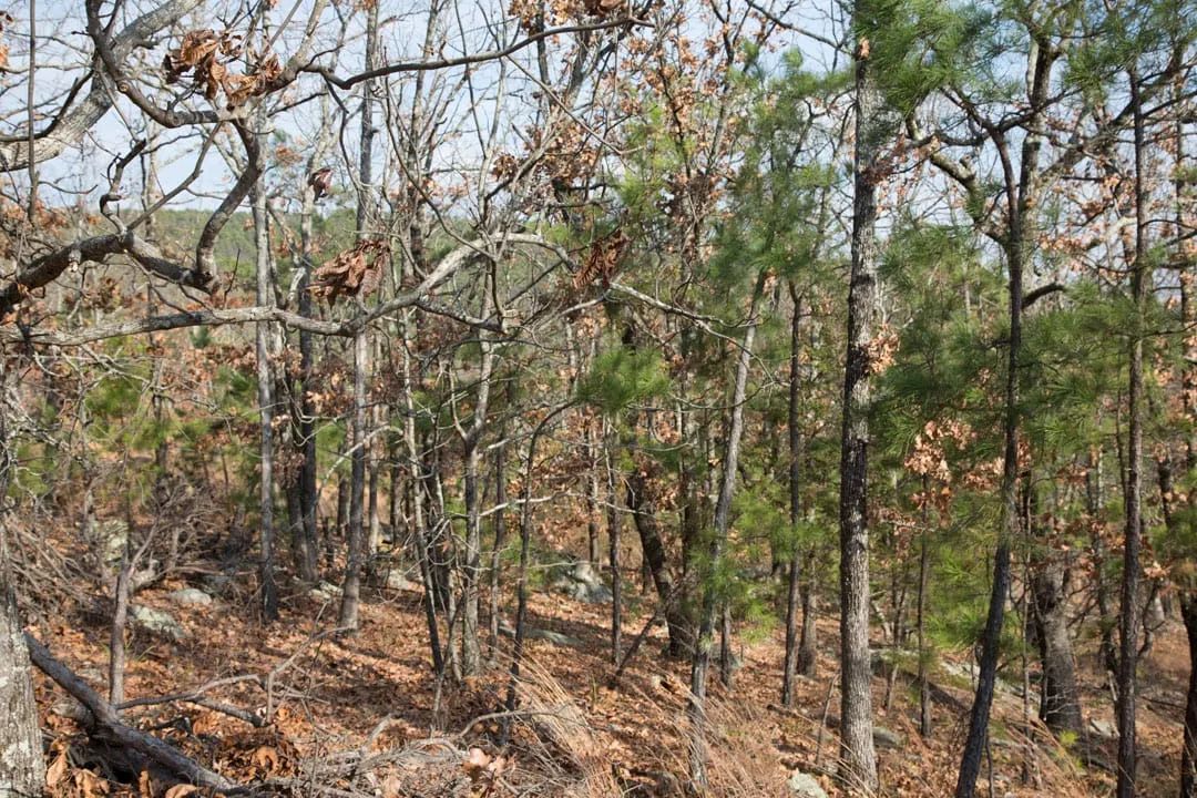 Stone Creek Phase III Tract 92 in Latimer County, OK