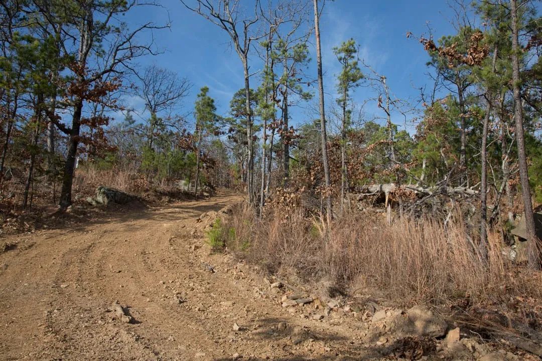 Decorative background for Stone Creek Phase III Tract 92 image 5